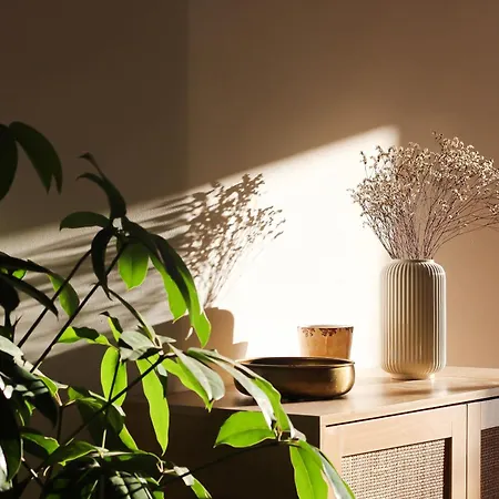 アパート Penthouse La Vigie